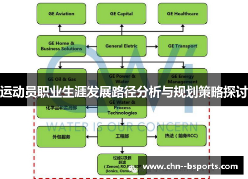运动员职业生涯发展路径分析与规划策略探讨 运动员职业生涯发展路径分析与规划策略探讨